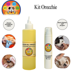 Kit Orecchie