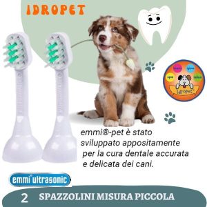 spazzolino piccolo