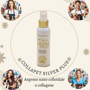 Collapet silver plus