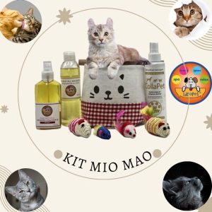 Kit Mio Mao